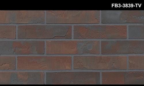 FB3-3839-TV