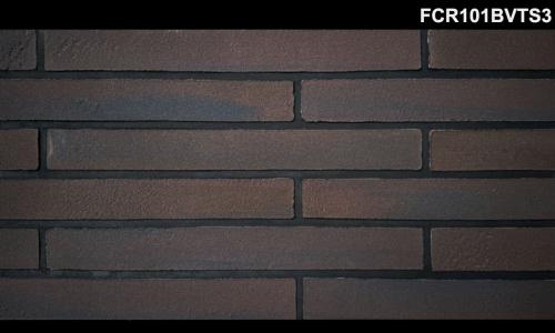 FCR101BVTS3