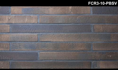 FCR3-10-PBSV (1) (1)